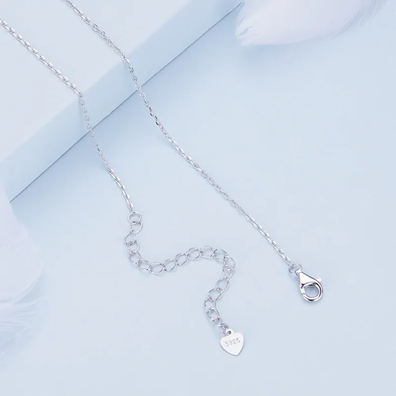 (image for) Double Chain Necklace Pandora Style - BSN308 - View 5
