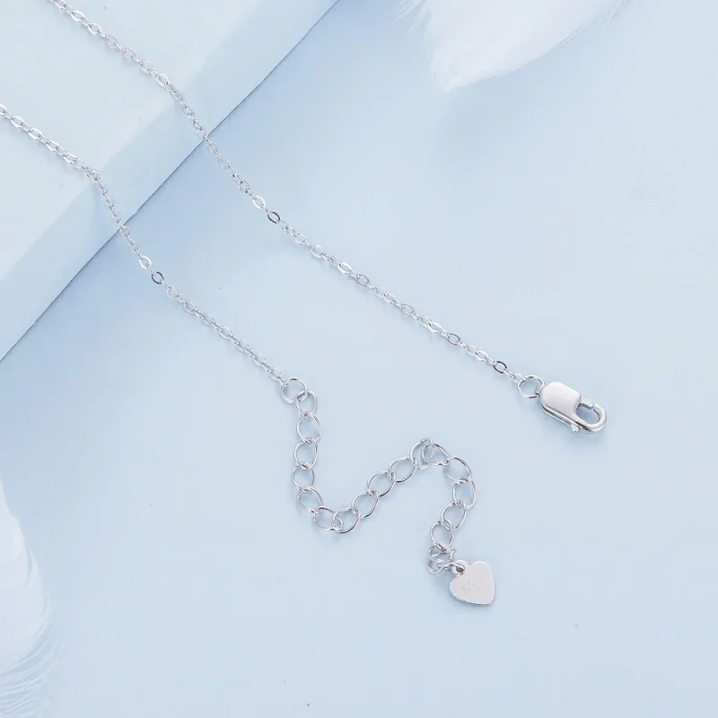 (image for) Family Circle Necklace Pandora Style - BSN315 - View 5