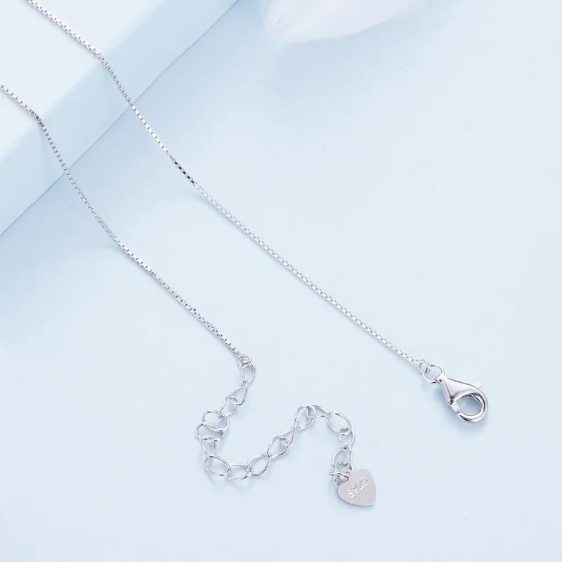 (image for) Good Luck Necklace Pandora Style - BSN334 - View 5