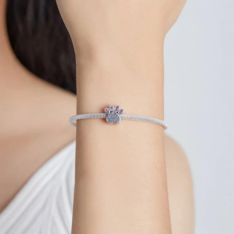 (image for) Pandora Style Friend Charm Sale - BSC517 - View 5