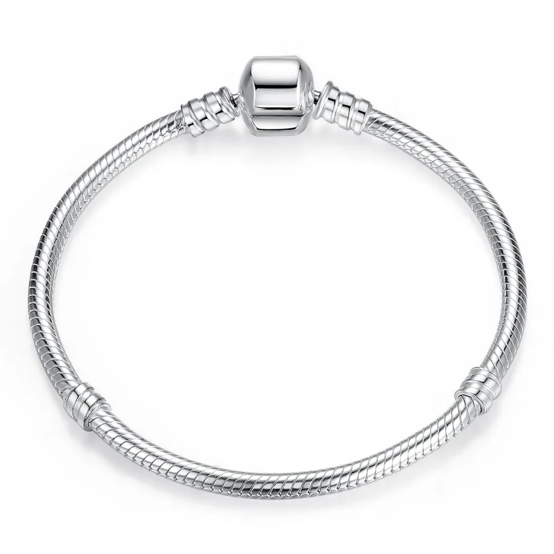 (image for) Pandora Style Starter Bracelet - PAS902 - View 3