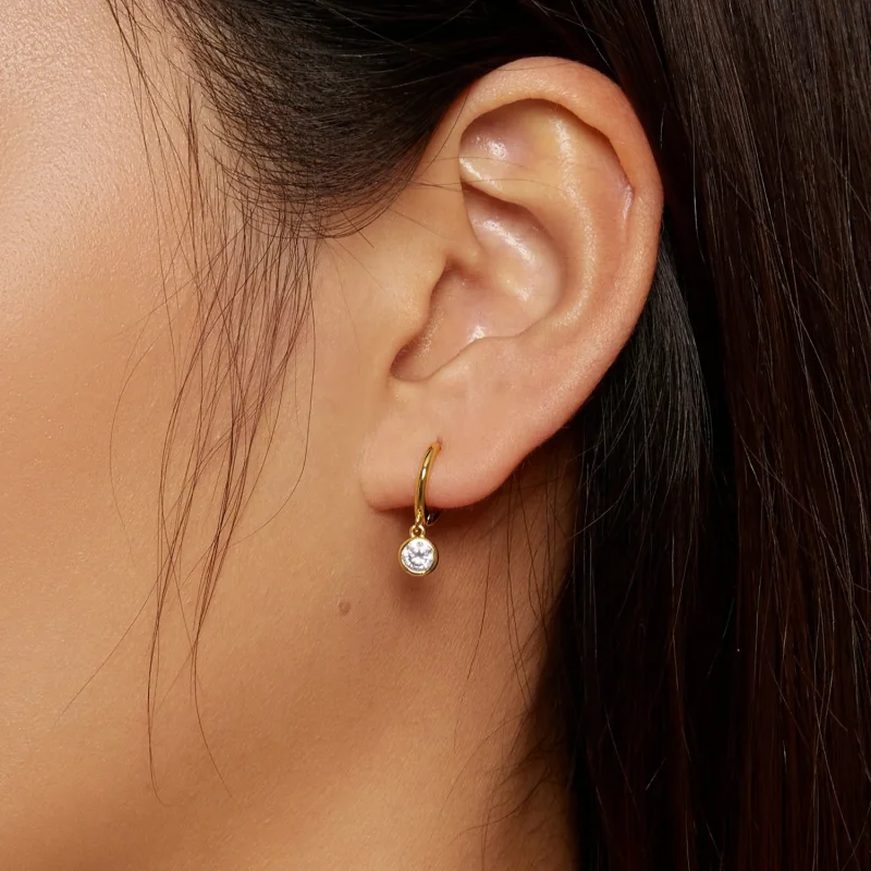 (image for) Pandora Style Circle Zirconia Hoop Earrings - SCE830-B - View 7