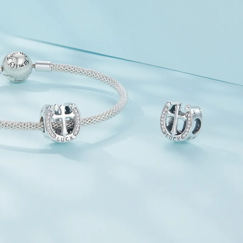 (image for) Pandora Style Guard Charm - SCC2541 - View 4