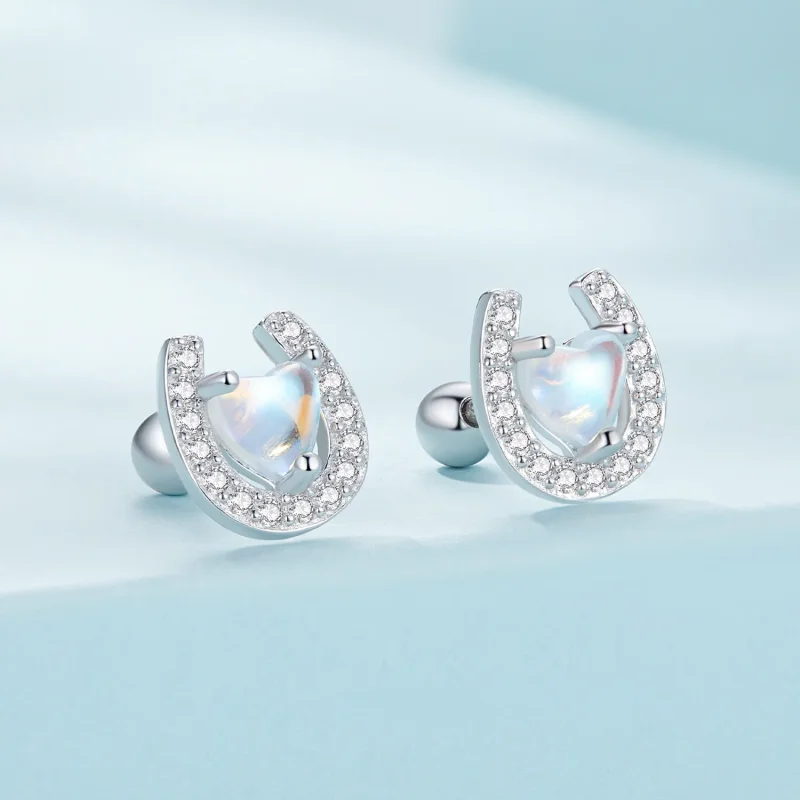 (image for) Pandora Style Horseshoe Round Ear Plugs Studs Earrings - SCE1612 - View 2