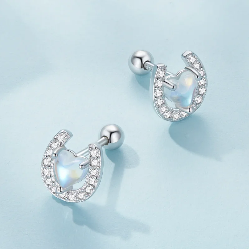 (image for) Pandora Style Horseshoe Round Ear Plugs Studs Earrings - SCE1612 - View 3