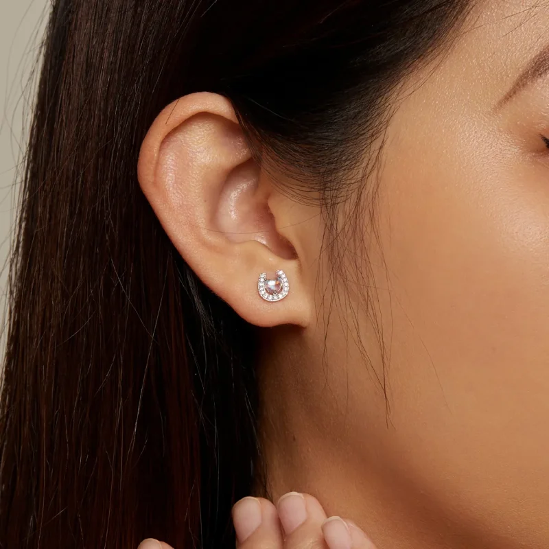 (image for) Pandora Style Horseshoe Round Ear Plugs Studs Earrings - SCE1612 - View 6