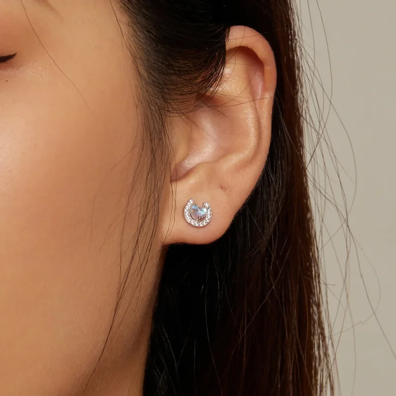 (image for) Pandora Style Horseshoe Round Ear Plugs Studs Earrings - SCE1612 - View 7