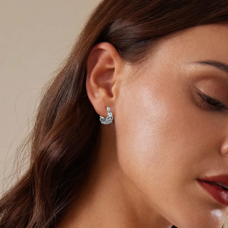 (image for) Pandora Style Retro Pattern Hoop Earrings - SCE1650 - View 6