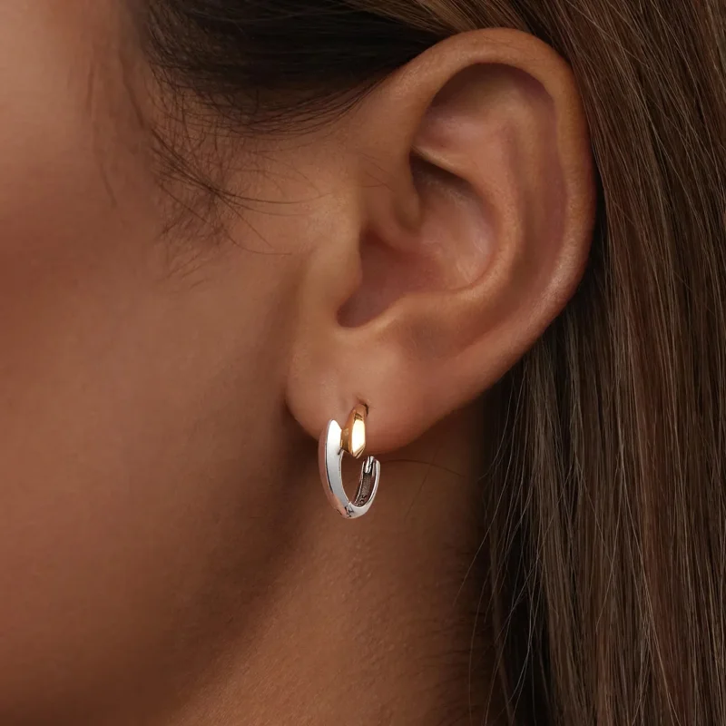 (image for) PANDORA Style Two-tone earrings - BSE1021 - View 6