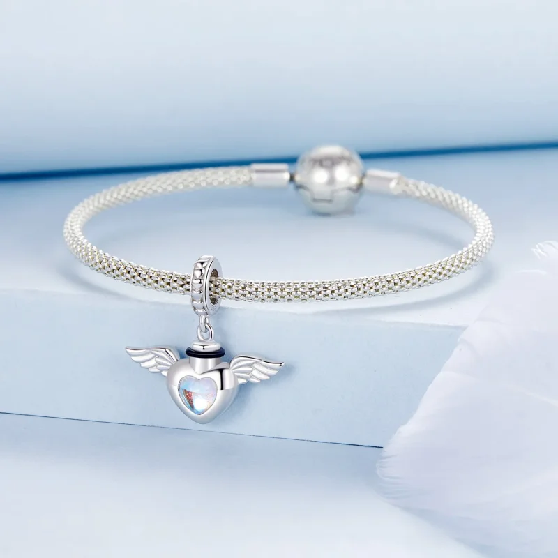 (image for) PANDORA Style Pet urn memorial box pendant - BSC1036 - View 3