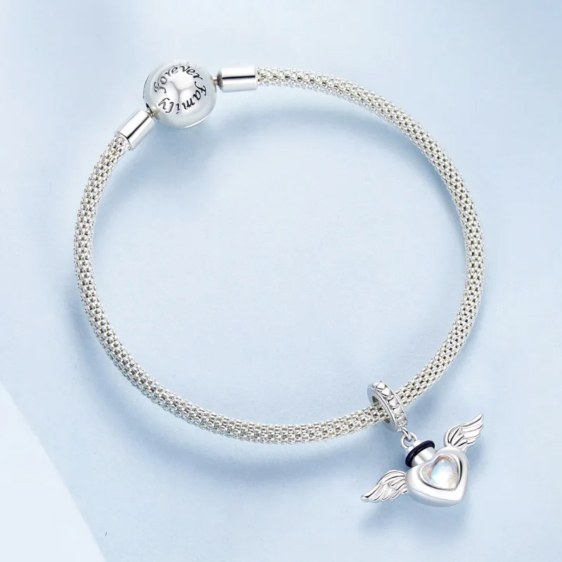 (image for) PANDORA Style Pet urn memorial box pendant - BSC1036 - View 5