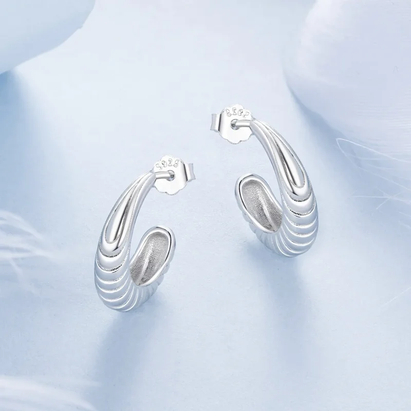 (image for) PANDORA Style Temperament texture earrings - BSE1058 - View 3