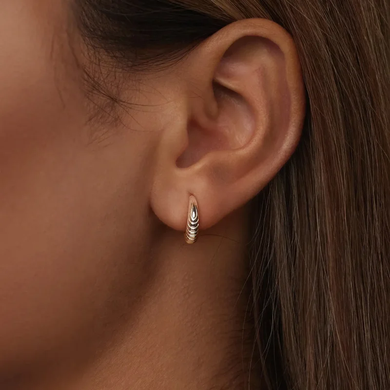 (image for) PANDORA Style Temperament texture earrings - BSE1058 - View 6