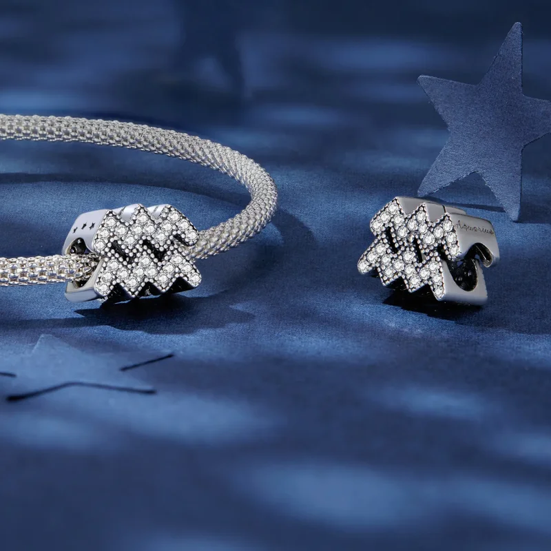 (image for) Pandora Style Aquarius Lucky Zodiac Charm - SCC2516-12 - View 4