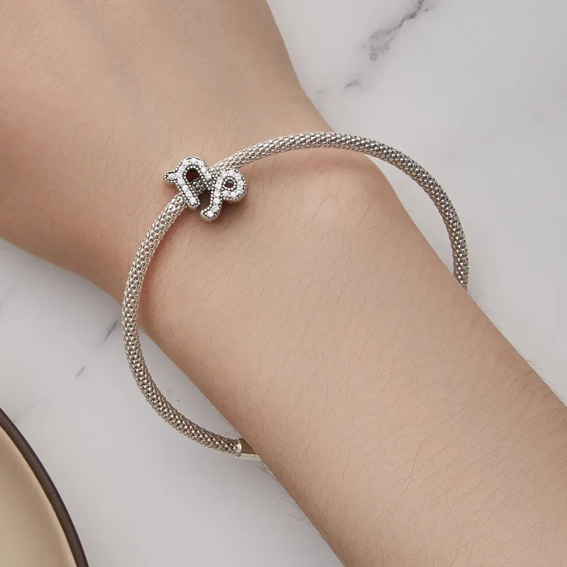 (image for) Pandora Style Capricorn Lucky Zodiac Charm - SCC2516-10 - View 6