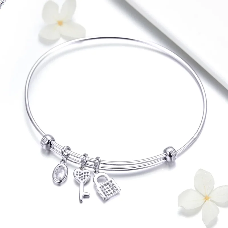 (image for) Pandora Style Silver Beautiful Promise Anniversary Slider Bangle - SCB119 - View 3