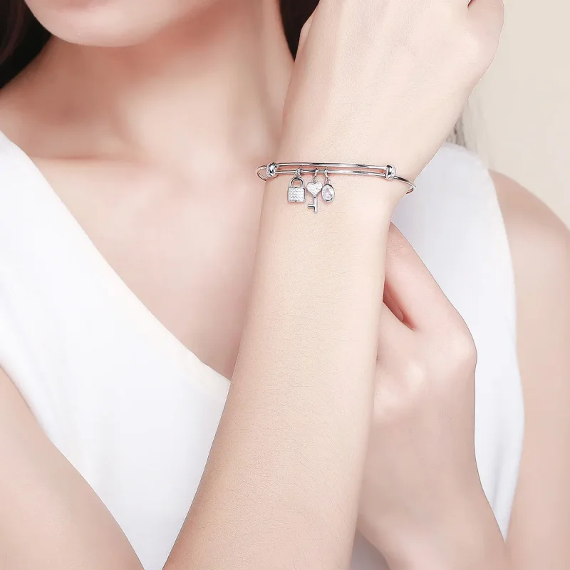 (image for) Pandora Style Silver Beautiful Promise Anniversary Slider Bangle - SCB119 - View 5