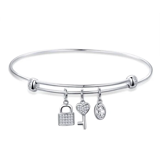 (image for) Pandora Style Silver Beautiful Promise Anniversary Slider Bangle - SCB119