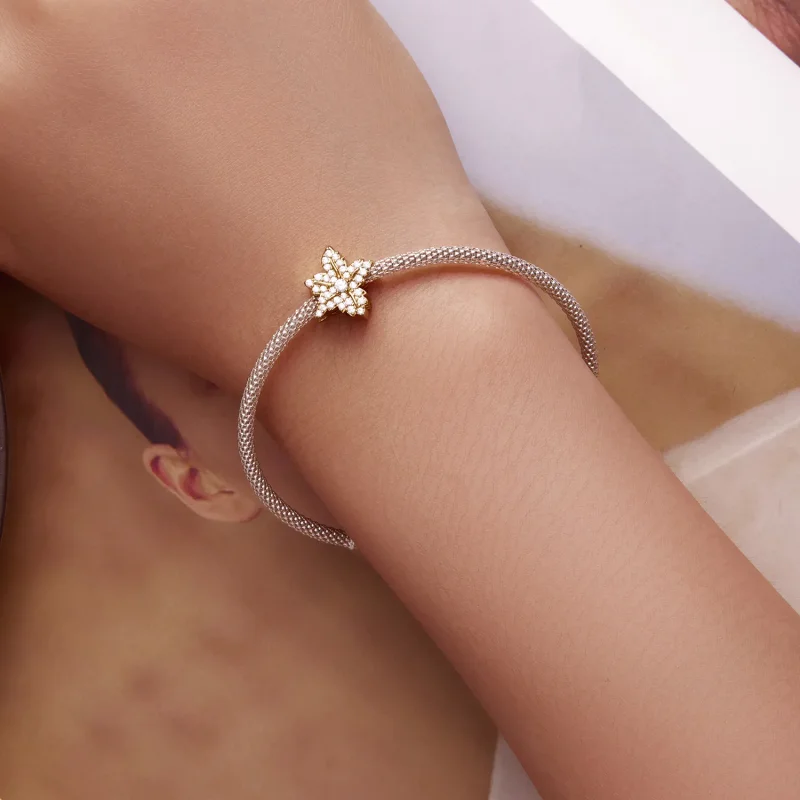 (image for) Pandora Style Maple Leaf Charm - BSC673 - View 6