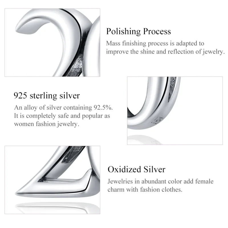 (image for) Pandora Style Silver 20Th Anniversary Charm - SCC1623 - View 7