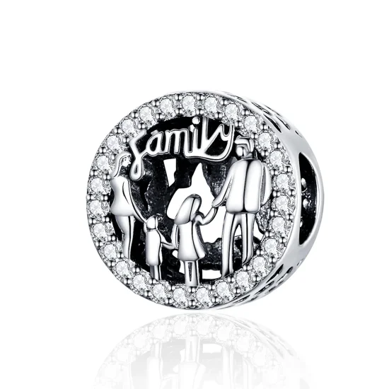 (image for) Pandora Style Silver My Family Charm - SCC1184