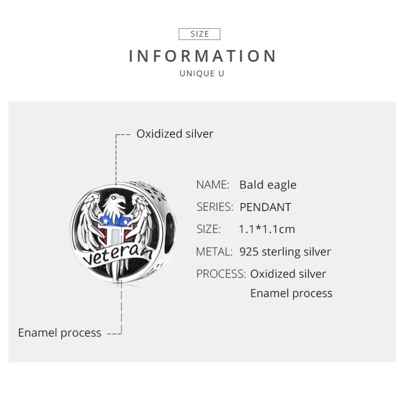 (image for) Pandora Style Silver Veteran Charm - SCC1885 - View 7