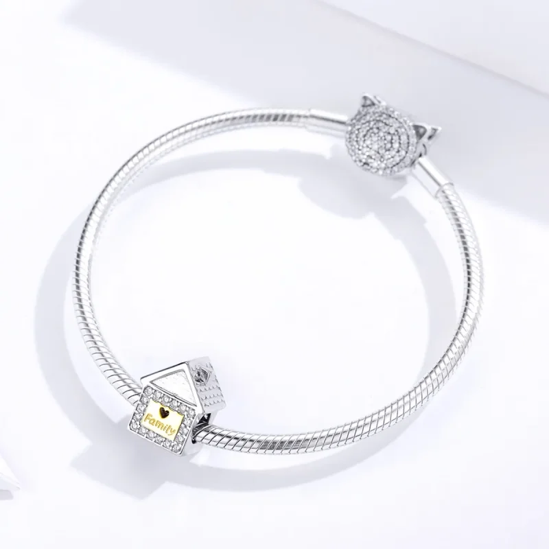 (image for) Pandora Style Two Tone Bicolor Forever Family Charm - SCC1330 - View 3