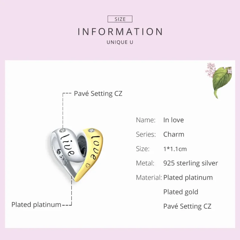 (image for) Pandora Style Two Tone Bicolor In Love Charm - BSC227 - View 6