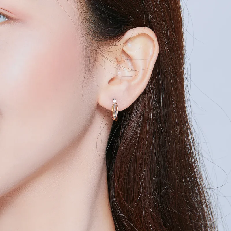 (image for) Pandora Style Bicolor Stud Earrings - SCE719 - View 7