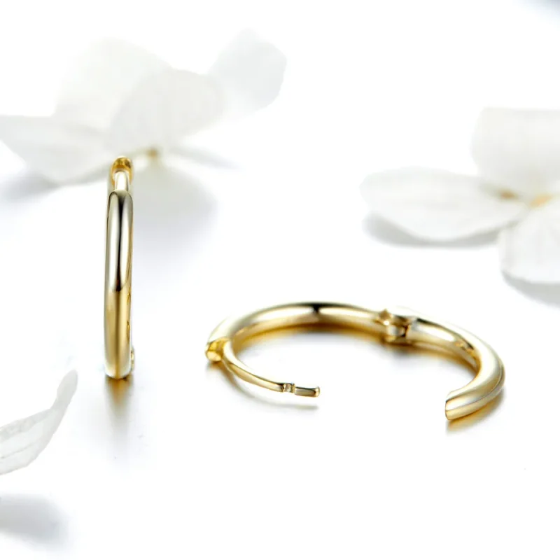 (image for) Pandora Style Gold-Plated Hoop Earrings - SCE558 - View 3