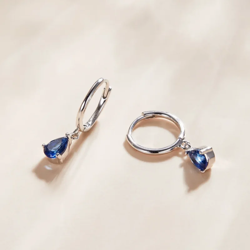 (image for) Pandora Style Silver Drop Dangle Earrings - SCE1018-BU - View 2
