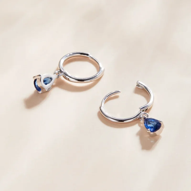 (image for) Pandora Style Silver Drop Dangle Earrings - SCE1018-BU - View 3