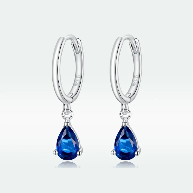 (image for) Pandora Style Silver Drop Dangle Earrings - SCE1018-BU - View 5