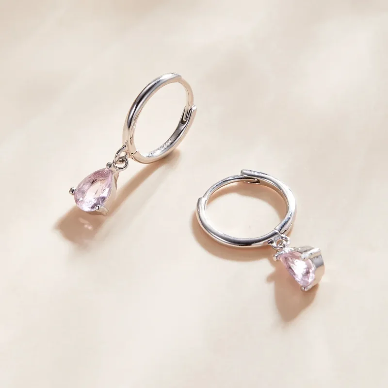 (image for) Pandora Style Silver Drop Dangle Earrings - SCE1018-PK - View 2