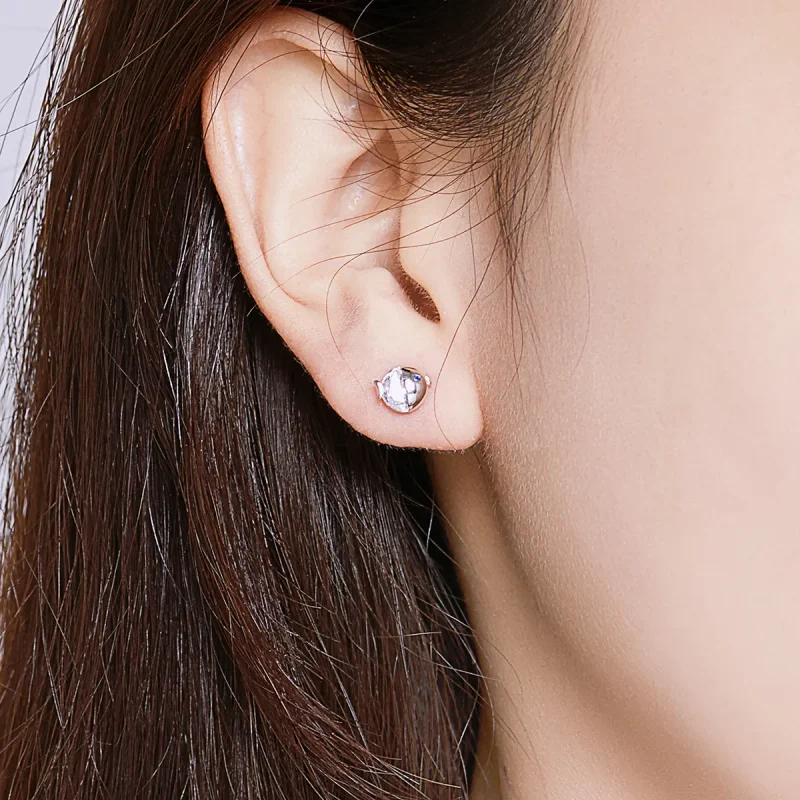 (image for) Pandora Style Silver Kissing Fish Stud Earrings - BSE204 - View 7