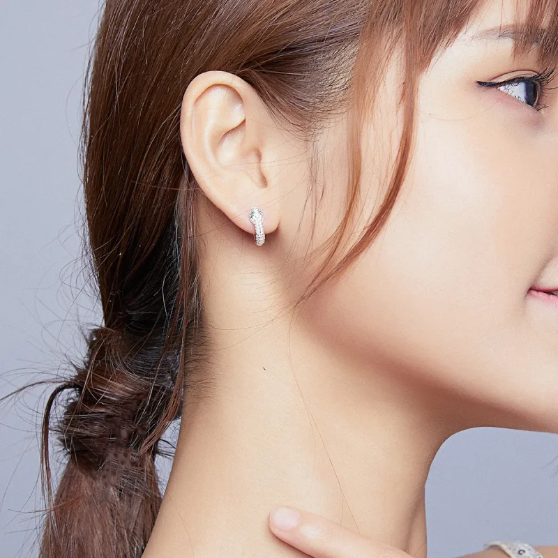 (image for) Pandora Style Silver Lovely Snake Hoop Earrings - SCE922 - View 6