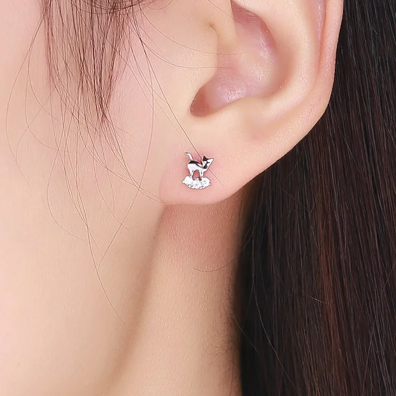 (image for) Pandora Style Silver Meow Star Stud Earrings - SCE537 - View 4