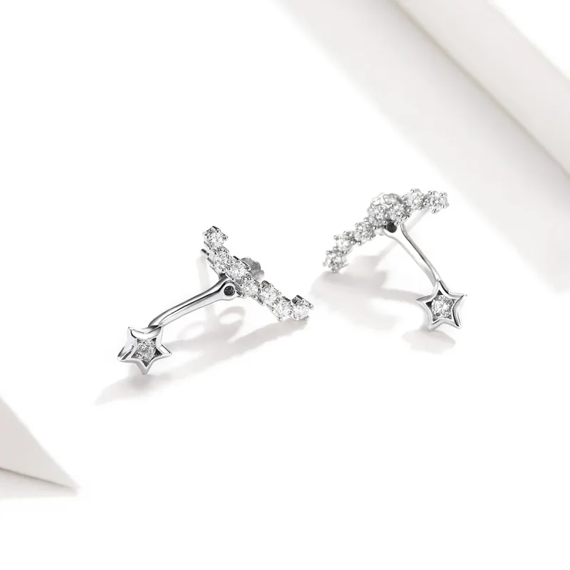 (image for) Pandora Style Silver Reminiscences Dangle Earrings - BSE175 - View 4
