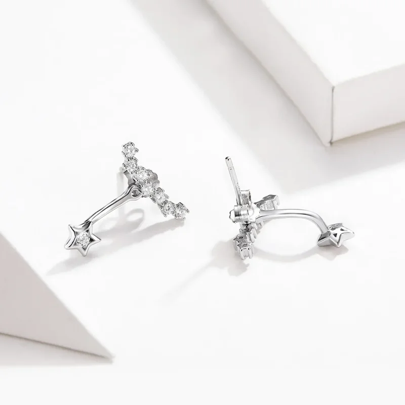 (image for) Pandora Style Silver Reminiscences Dangle Earrings - BSE175 - View 5