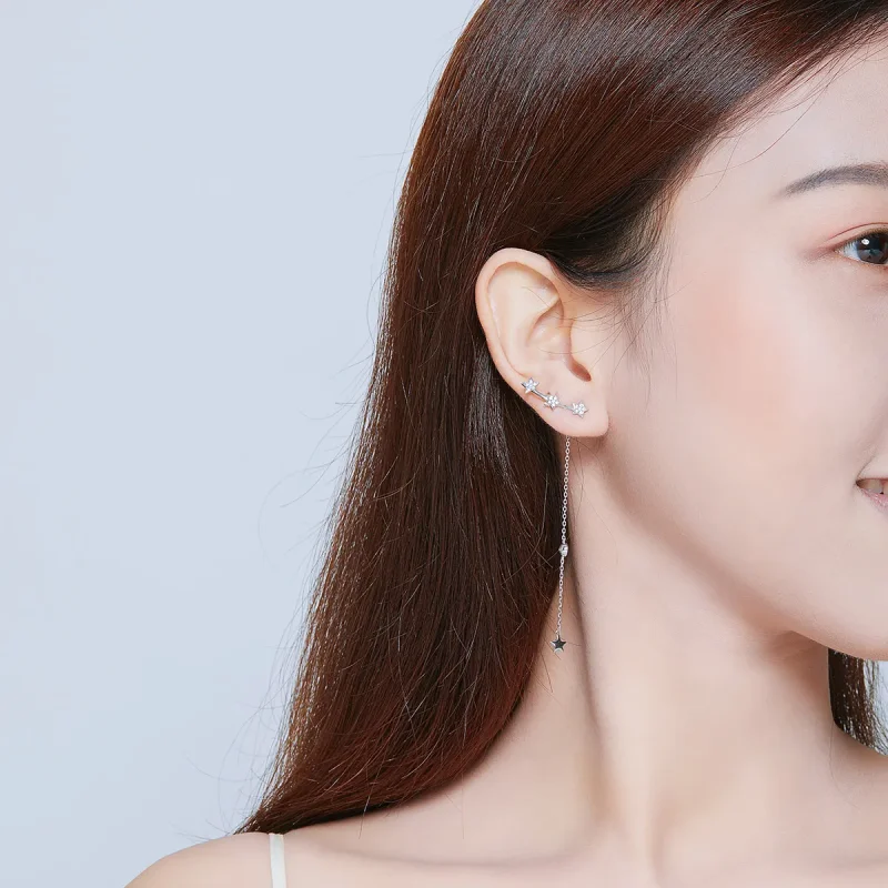 (image for) Pandora Style Silver Shining Mango Dangle Earrings - SCE727 - View 7