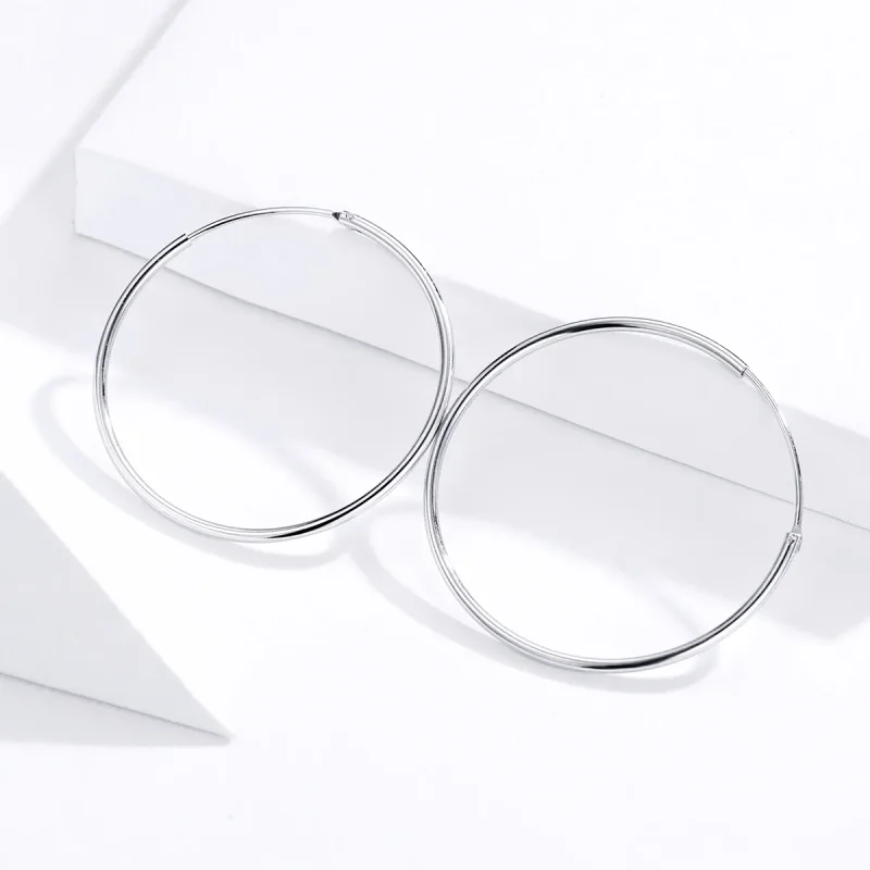 (image for) Pandora Style Silver Simple Line Hoop Earrings - SCE710 - View 2