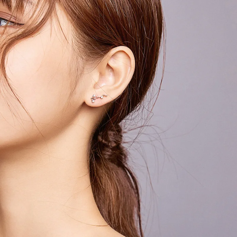 (image for) Pandora Style Silver Starry Sky Stud Earrings - SCE912-8 - View 7