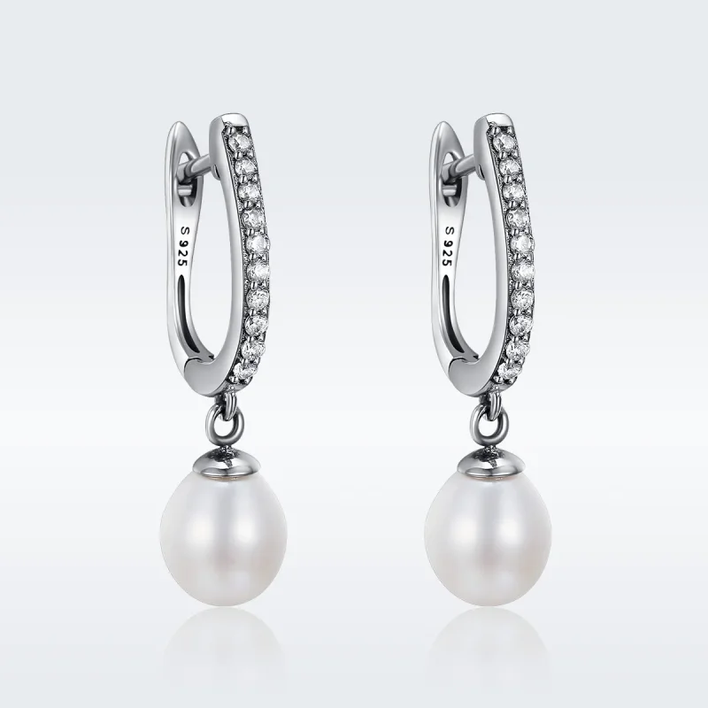 (image for) Pandora Style Silver Unique Charm Hanging Earrings - SCE194 - View 2