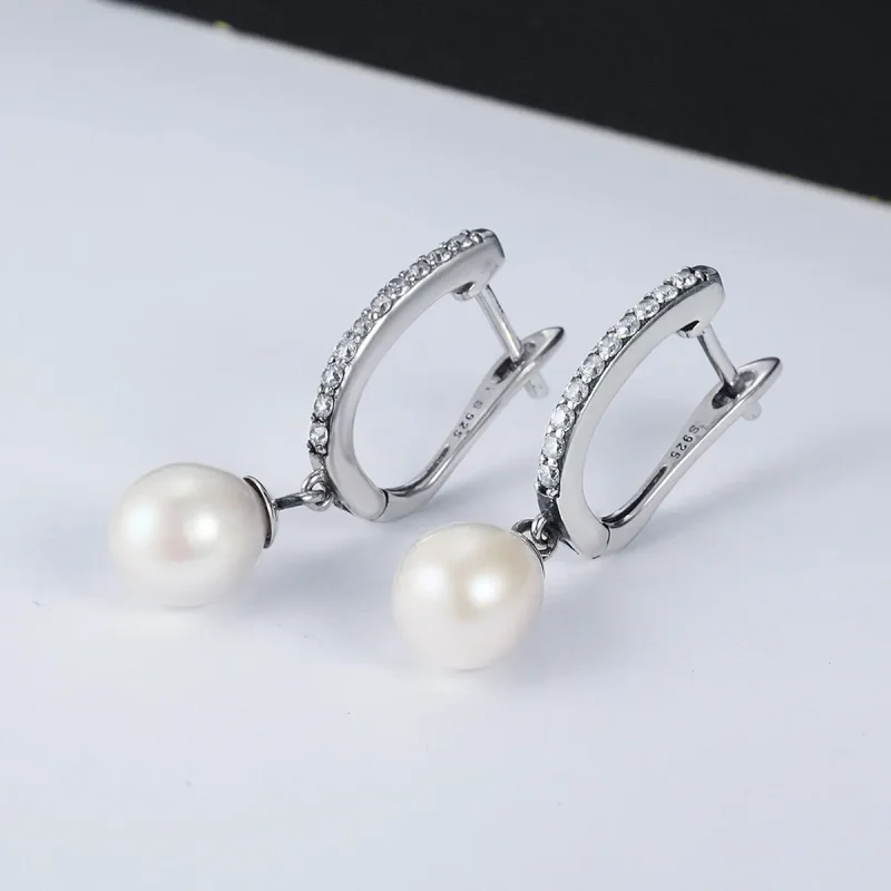 (image for) Pandora Style Silver Unique Charm Hanging Earrings - SCE194 - View 3