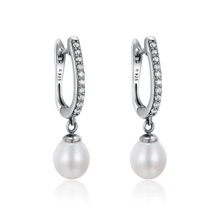 (image for) Pandora Style Silver Unique Charm Hanging Earrings - SCE194