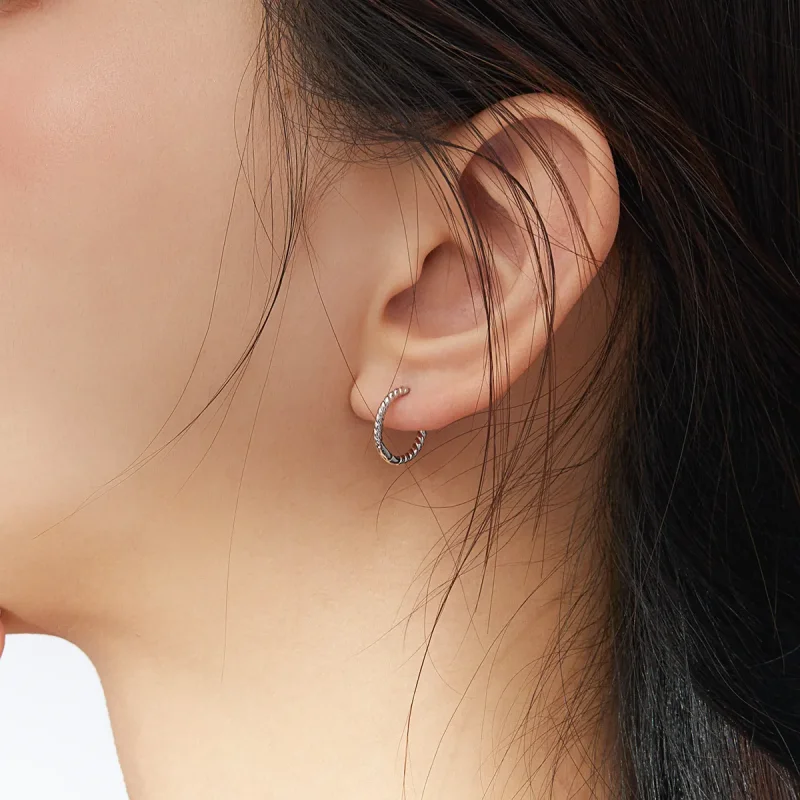 (image for) Pandora Style Silver Weaving geometry Hoop Earrings - SCE841 - View 6