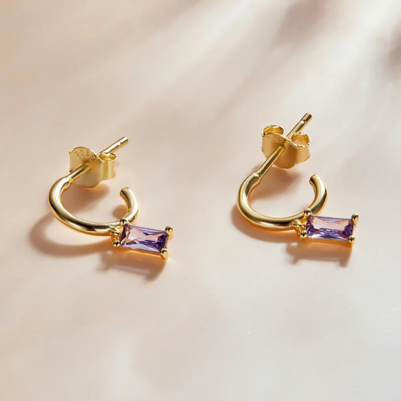 (image for) Pandora Style Bright Cubic Zirconium - Violet Hanging Earrings - SCE1242-VT - View 2