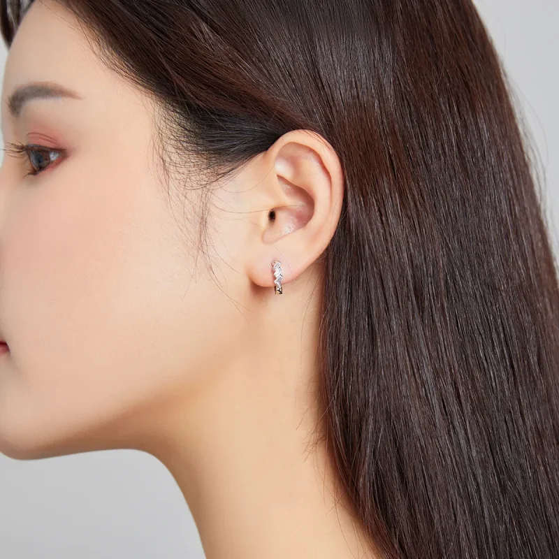 (image for) Pandora Style Box Hoop Earrings - SCE1037 - View 6