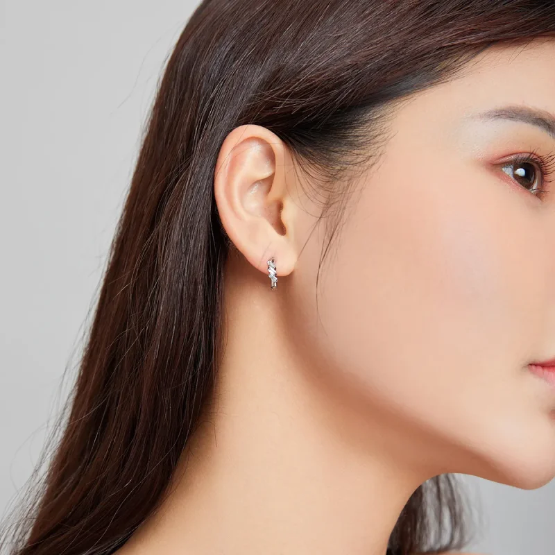 (image for) Pandora Style Box Hoop Earrings - SCE1037 - View 7