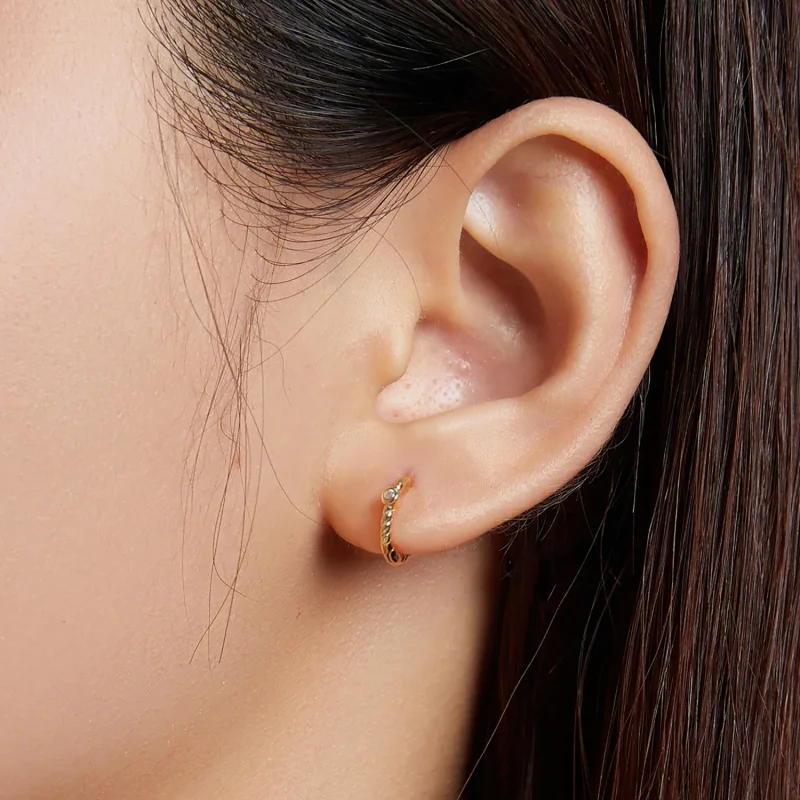(image for) Pandora Style French Hoop Earrings - SCE1255 - View 5